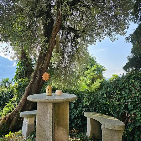 Ida Frueh By Holap Sa アパート ロカルノ